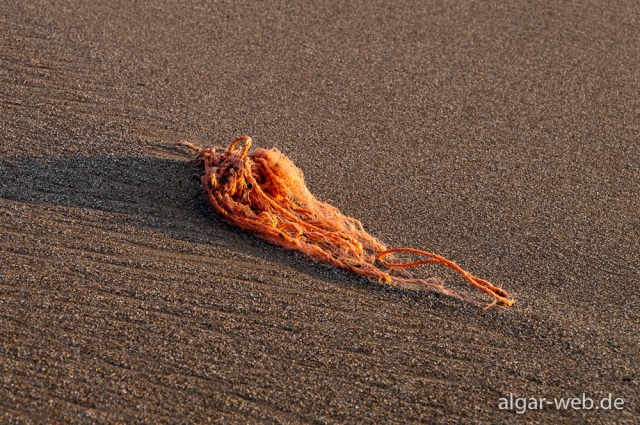 Treibgut am Strand von Kalamaki, Kreta