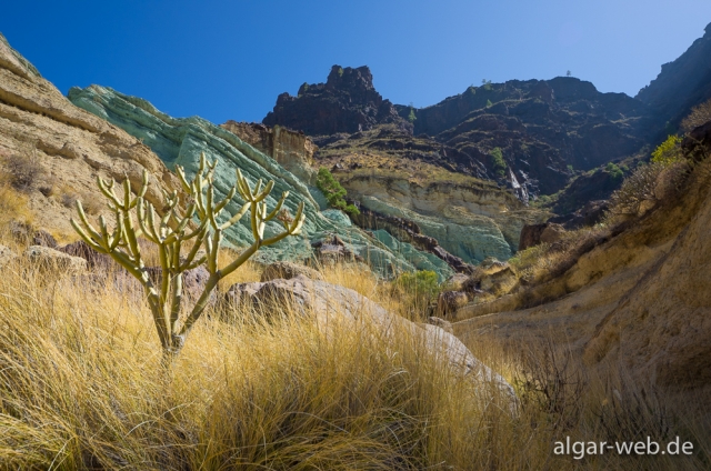 Los Azulejos, Gran Canaria