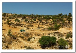 Unser grüner Jimny am Eingang der Martsalo-Schlucht