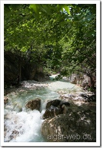 Am Fluss in Loutraki I