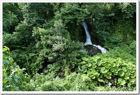 Wasserfall und üppiges Grün in Naoussa I