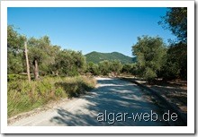 Hauptstrasse nach Karavostasi Beach