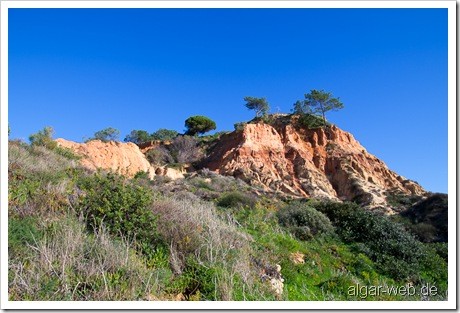 Praia da Falesia, Olhos d' Agua, Albufeira, Algarve; Januar/Februar 2010