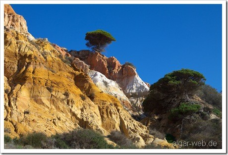 Praia da Falesia, Olhos d' Agua, Albufeira, Algarve; Januar/Februar 2010