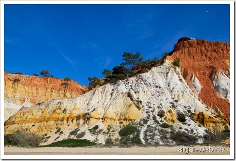 Praia da Falesia, Olhos d' Agua, Albufeira, Algarve; Januar/Februar 2010