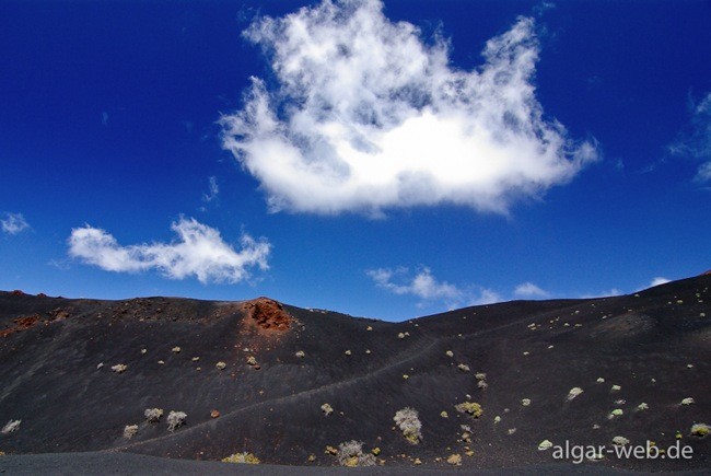 La palma farbkontraste 1371