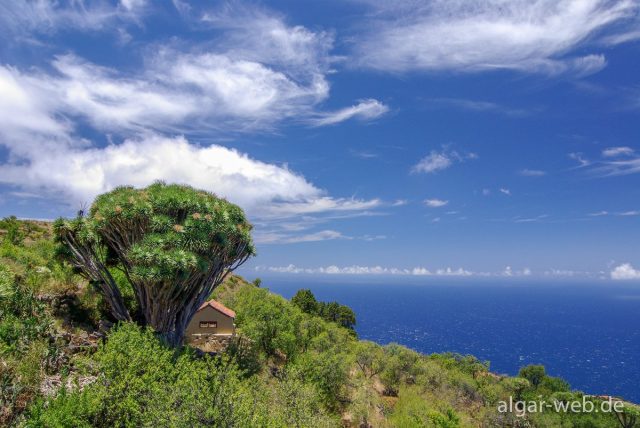 La Palma - Impressionen