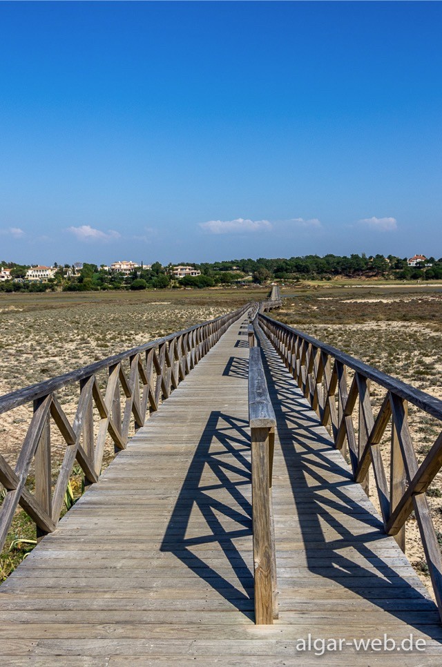 Blick zurück zum Festland, Ilha de Faro