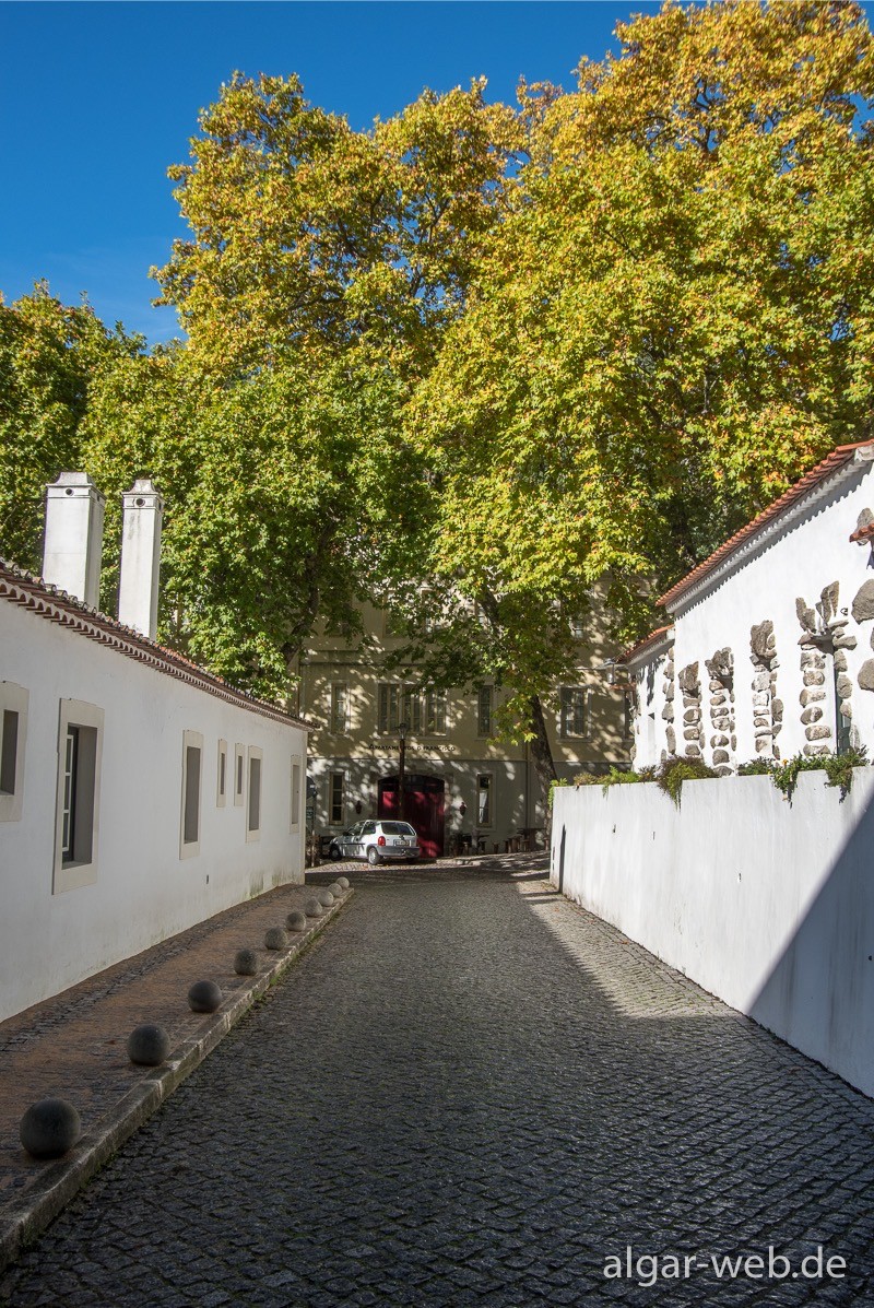 Caldas de Monchique, Algarve, Portugal