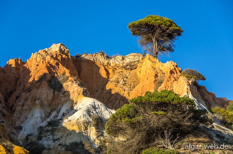 Praia da Falésia - Impressionen