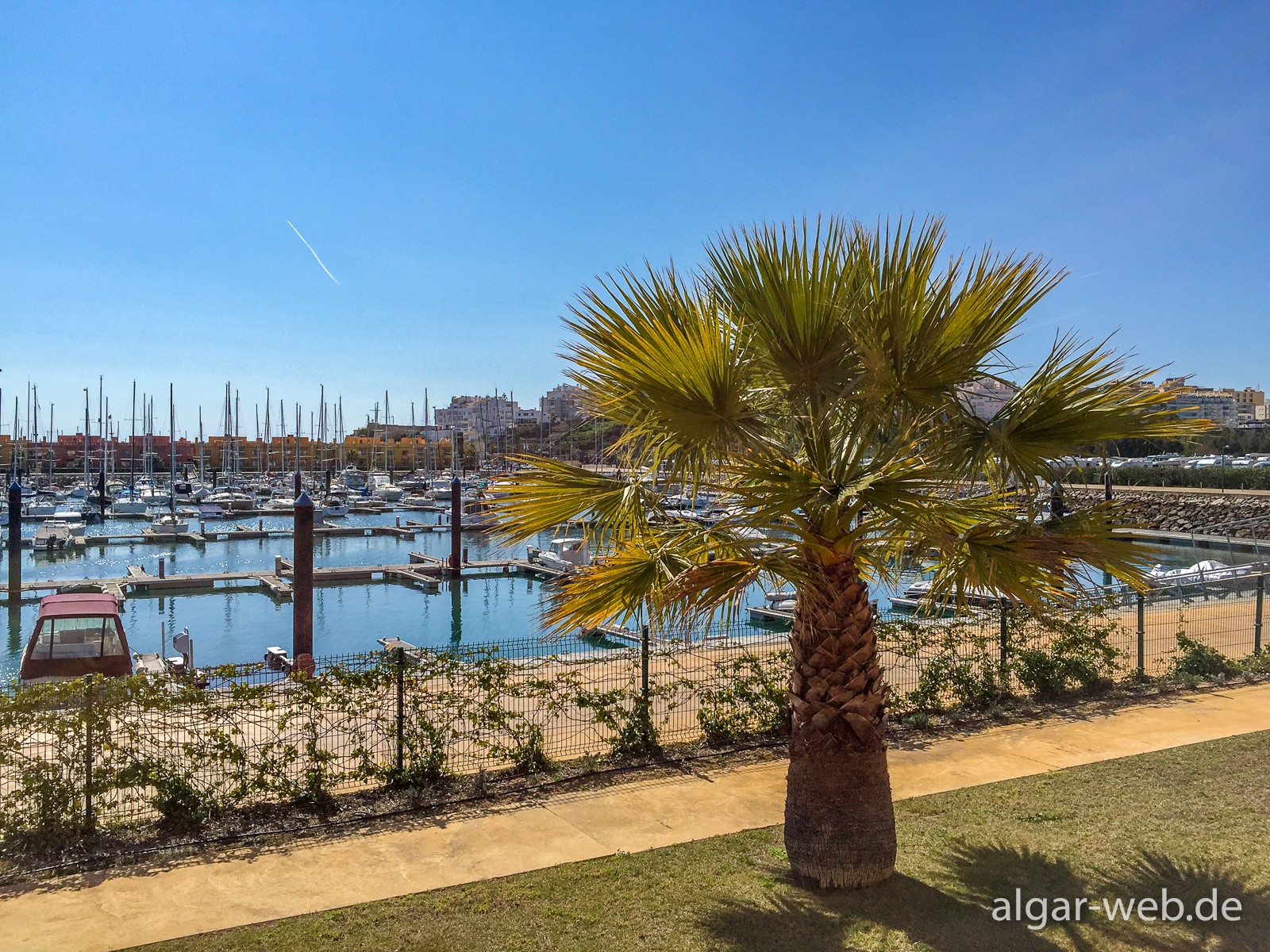 Hotel Tivoli Marina - typischer Ausblick aus dem Zimmer